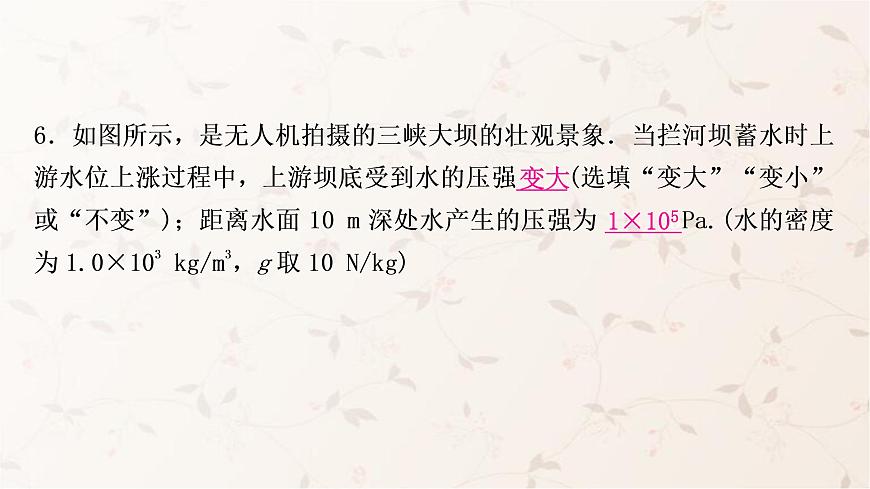 人教版中考物理復(fù)習(xí)第8講壓強(qiáng)第2課時(shí)液體壓強(qiáng)作業(yè)課件第7頁(yè)