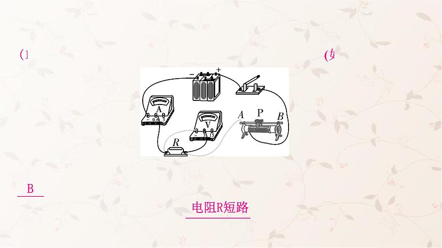 人教版中考物理復(fù)習(xí)第14講歐姆定律第2課時探究電流與電壓、電阻的關(guān)系作業(yè)課件第5頁
