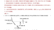 初中第十章 流体的力现象3 科学探究：浮力的大小巩固练习