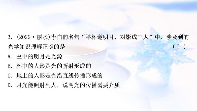 中考物理复习第2讲光现象练习课件第4页