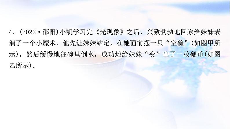 中考物理复习第2讲光现象练习课件第5页