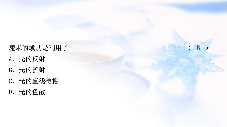 中考物理复习第2讲光现象练习课件第6页