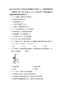 广东省汕头市澄海区2022-2023学年八年级上学期期末物理试卷（含答案）
