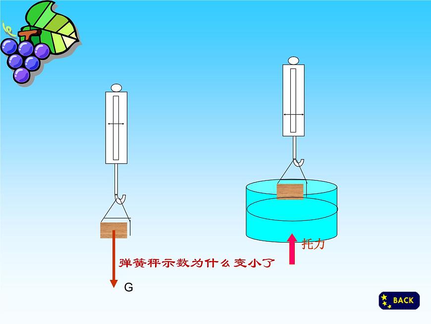 第十章第二節(jié)阿基米德原理課件  人教版八年級(jí)下冊(cè)物理第6頁(yè)