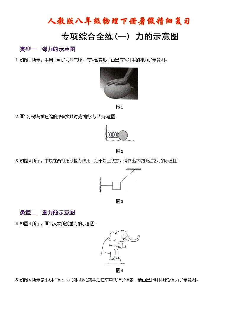 第七章 力 专项综合全练(一) 力的示意图 人教版八年级物理下册01