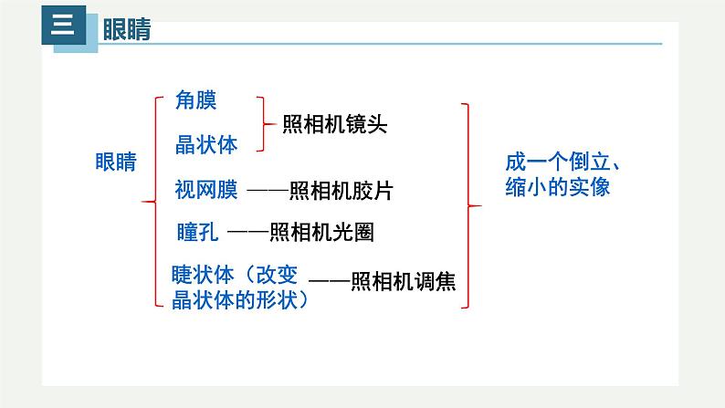 5.4眼睛和眼镜(课件)05