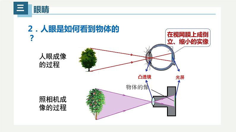 5.4眼睛和眼镜(课件)06