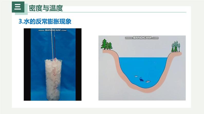 6.4密度与社会生活（课件）07