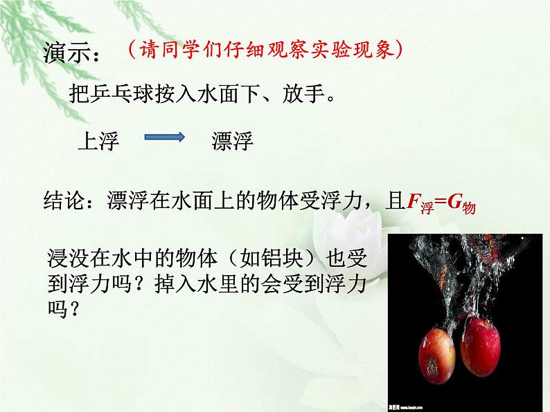 人教版八年级物理下册--10.1浮力(课件2)第5页