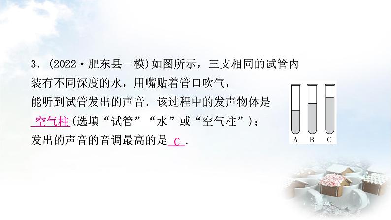 中考物理复习第1讲声现象作业课件第3页