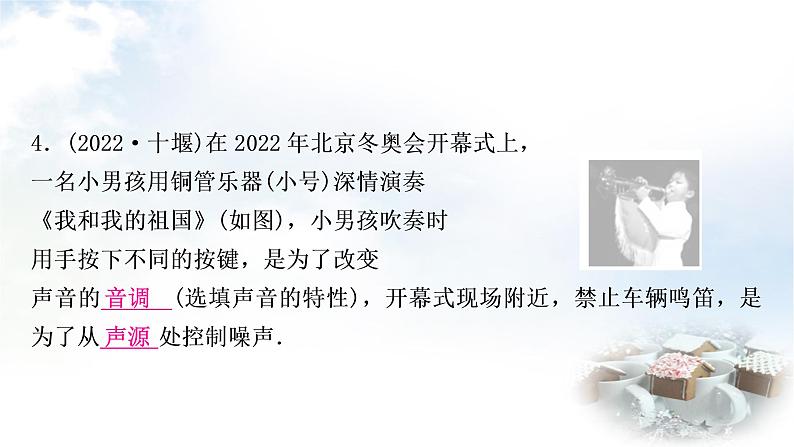 中考物理复习第1讲声现象作业课件第4页