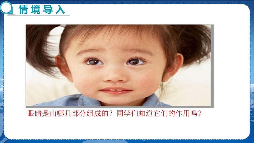 廣東教育上?？萍及嫖锢戆四昙壣系谌鹿夂脱劬Φ?節(jié)眼睛與光學(xué)儀器第1課時  教學(xué)課件第3頁