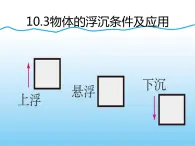 10.3 物体的浮沉条件及应用 课件10