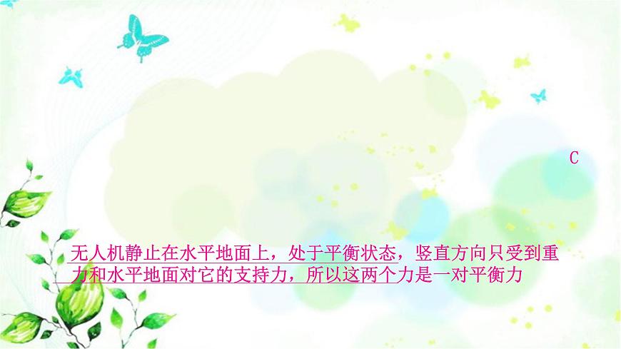 中考物理復(fù)習(xí)題型二選擇說明題作業(yè)課件第4頁