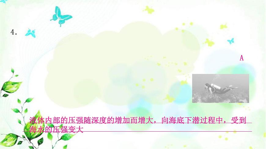 中考物理復(fù)習(xí)題型二選擇說明題作業(yè)課件第5頁