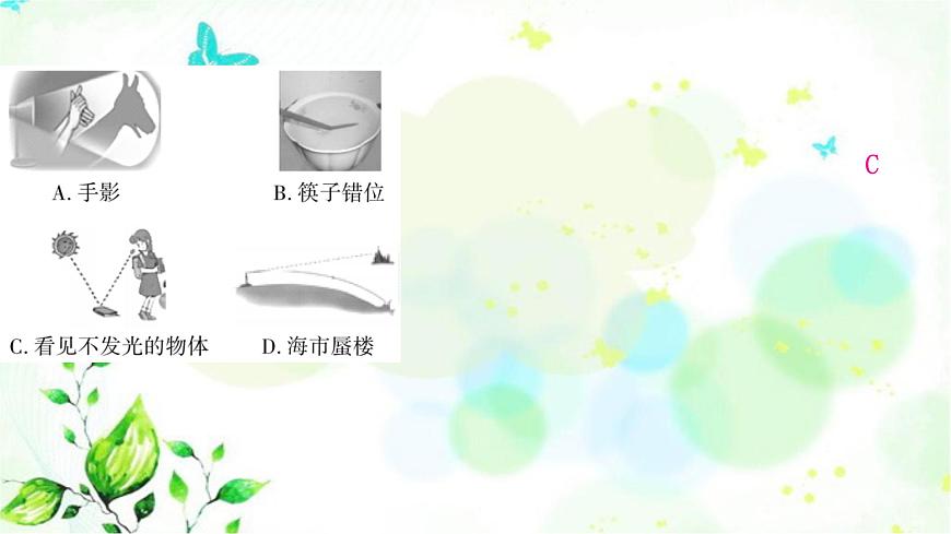 中考物理復(fù)習(xí)第2講光現(xiàn)象作業(yè)課件第2頁(yè)