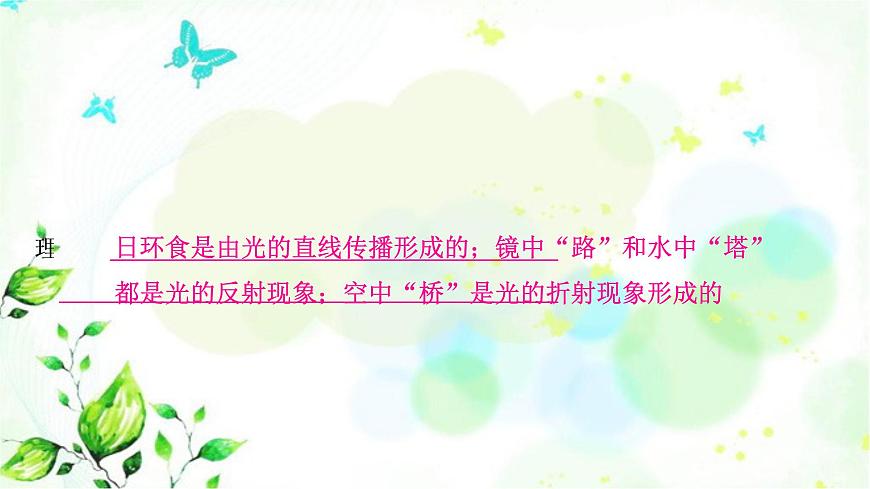 中考物理復(fù)習(xí)第2講光現(xiàn)象作業(yè)課件第6頁(yè)