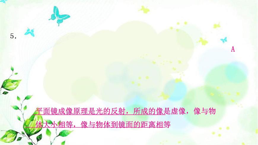 中考物理復(fù)習(xí)第2講光現(xiàn)象作業(yè)課件第7頁(yè)