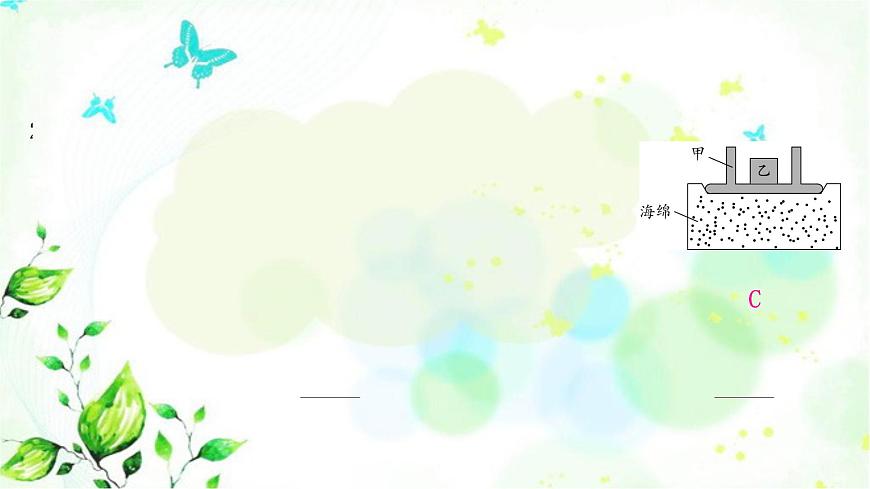 中考物理復(fù)習(xí)第9講壓強(qiáng)第1課時(shí)固體壓強(qiáng)作業(yè)課件第3頁(yè)