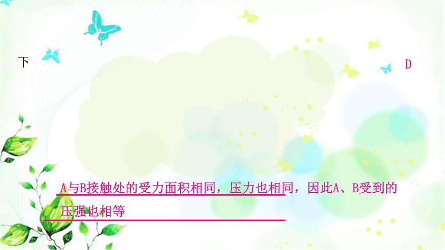 中考物理復(fù)習(xí)第9講壓強(qiáng)第1課時(shí)固體壓強(qiáng)作業(yè)課件第6頁(yè)