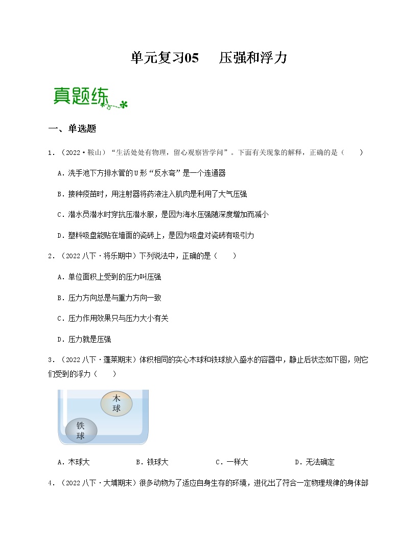 单元复习05 压强和浮力 【专项练习】——2022-2023学年人教版物理八年级下册单元综合复习（原卷版+解析版）