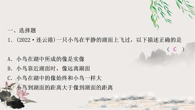 中考物理复习第2讲光现象第2课时平面镜成像作业课件第2页
