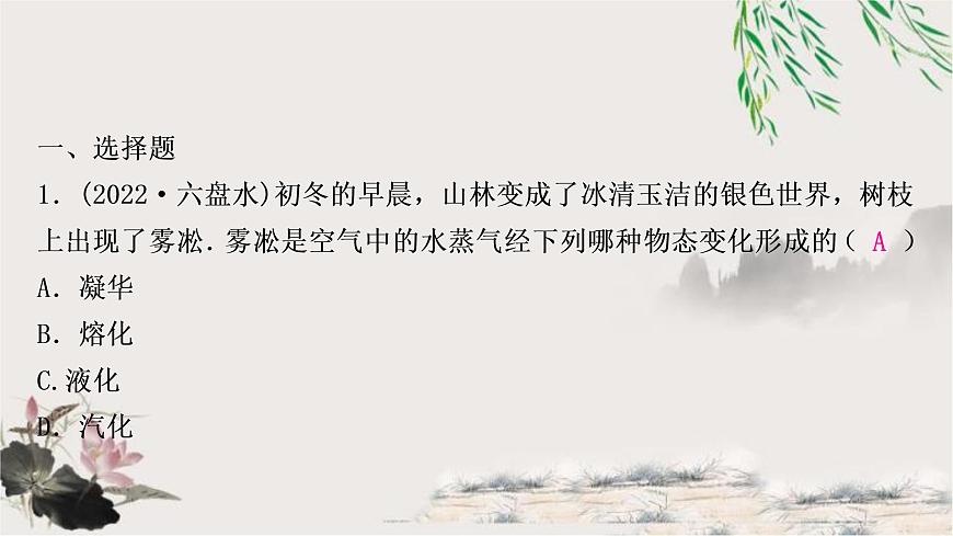 中考物理復(fù)習(xí)第4講物態(tài)變化作業(yè)課件第2頁