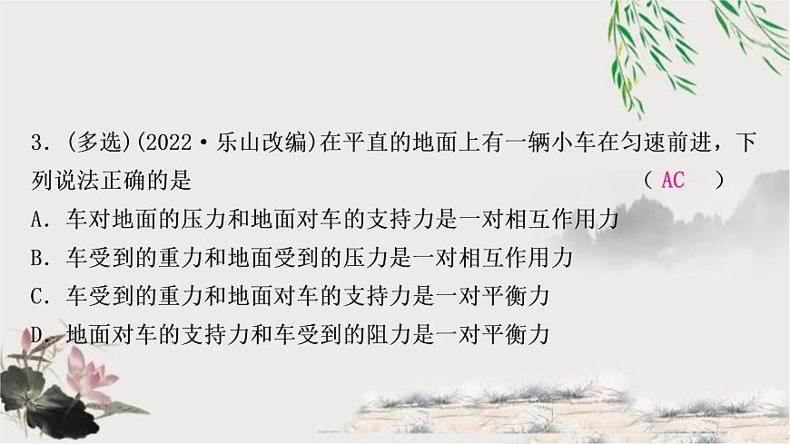 中考物理復(fù)習(xí)第8講力運(yùn)動(dòng)和力第2課時(shí)牛頓第一定律二力平衡作業(yè)課件第4頁