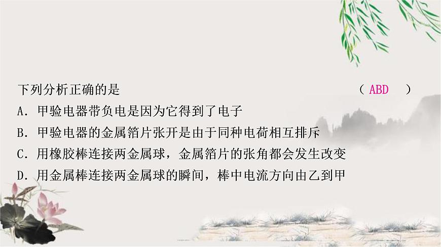 中考物理復(fù)習(xí)第13講電流、電路、電壓和電阻作業(yè)課件第6頁