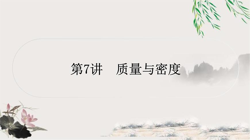 中考物理復(fù)習(xí)第7講質(zhì)量與密度作業(yè)課件第1頁