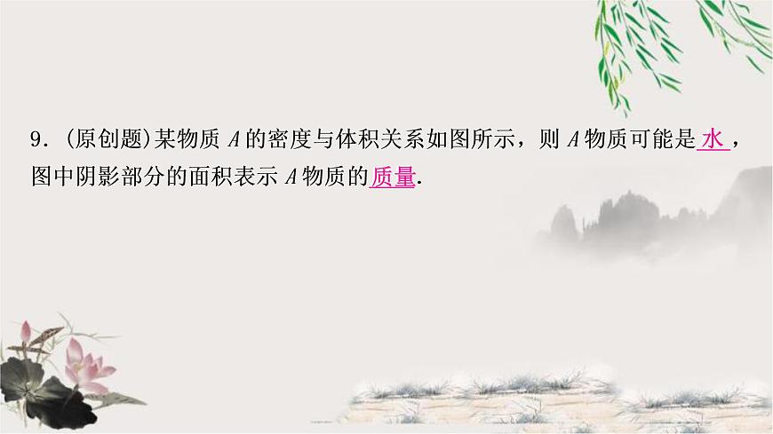 中考物理復(fù)習(xí)第7講質(zhì)量與密度作業(yè)課件第8頁