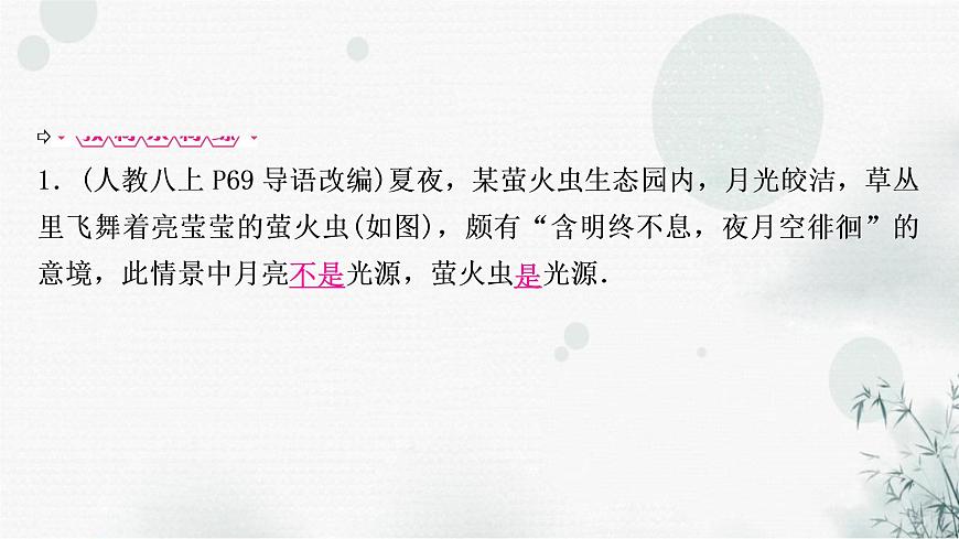 中考物理復習第2講光現象教學課件第5頁