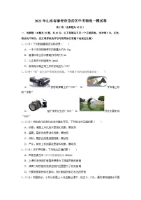 2023年山东省泰安市岱岳区中考物理一模试卷(含答案)