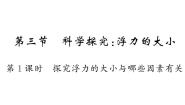 初中物理教科版八年级下册3 科学探究：浮力的大小作业课件ppt