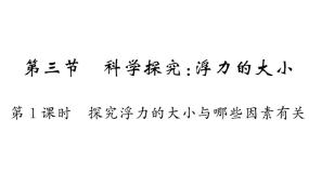 初中物理教科版八年级下册3 科学探究：浮力的大小作业课件ppt