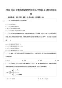 2022-2023学年陕西省宝鸡市陈仓区八年级（上）期末物理试卷