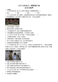 2023年北京初三一模物理分类汇编：乐音与噪声