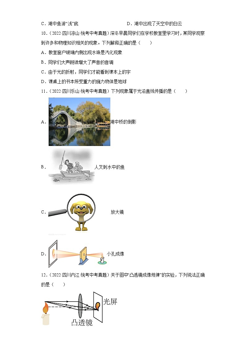 四川省各地市2022年中考物理真题分项汇编-32光学(选择题)第3页