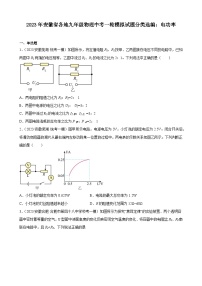 2023年安徽省各地九年级物理中考一轮模拟试题分类选编：电功率
