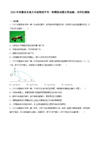 2023年安徽省各地九年级物理中考一轮模拟试题分类选编：功和机械能