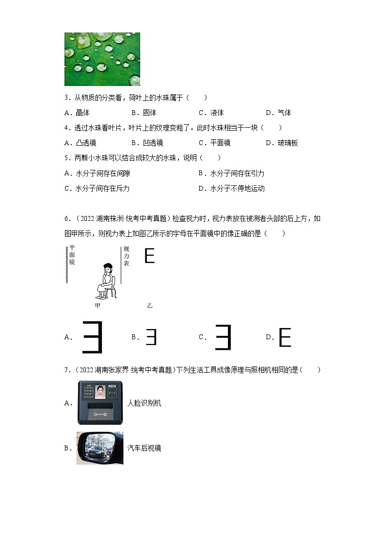 湖南省各地市2022年中考物理真题分项汇编-21光学(选择题)02