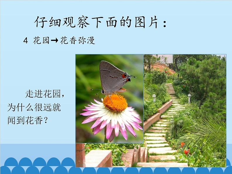 初中物理粤沪版八年级下册10.1认识分子 课件05