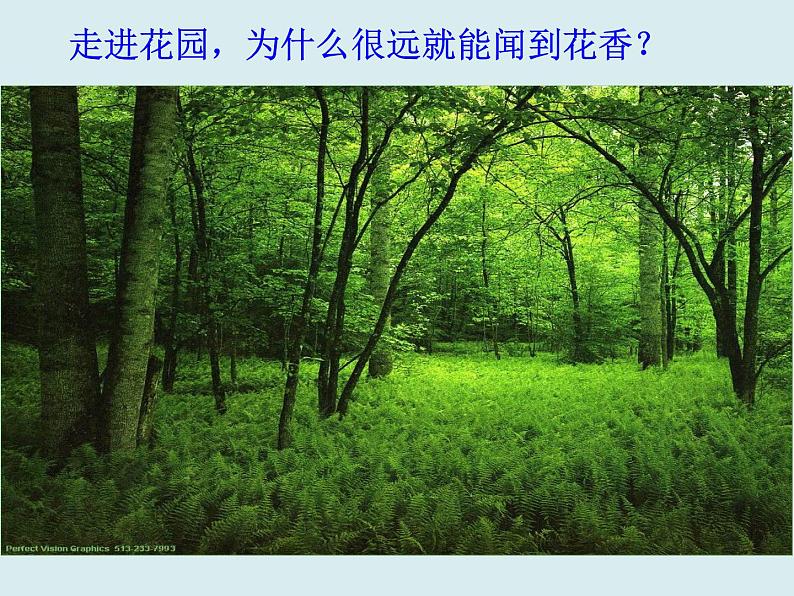 初中物理粤沪版八年级下册10.2分子动理论的初步知识 课件第3页