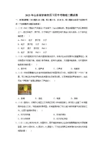 2023年山东省济南市历下区中考物理三模试卷（含答案）