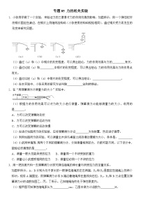 【期末专项突破】2022-2023学年人教版八年级物理下册期末难点题型专项练习：专题05 力的相关实验（原卷版+解析版）