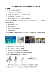广东省深圳市2023年中考物理模拟卷（一）附答案
