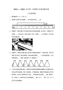 河南省周口市郸城县2022-2023学年八年级上学期11月期中物理试题