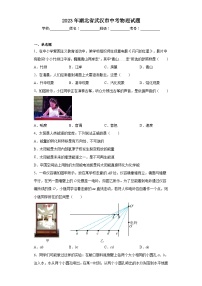 2023年湖北省武汉市中考物理试题（含解析）