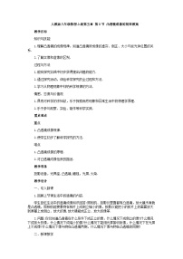 人教版八年级物理上册5.3 凸透镜成像的规律教案
