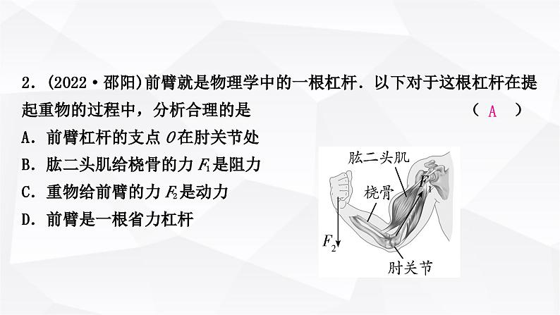 人教版中考物理复习第12讲简单机械第1课时杠杆作业课件第3页